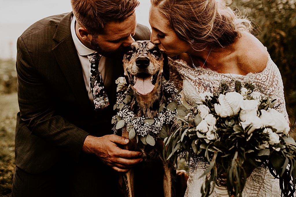bride and groom kissing their australian shepherd dog