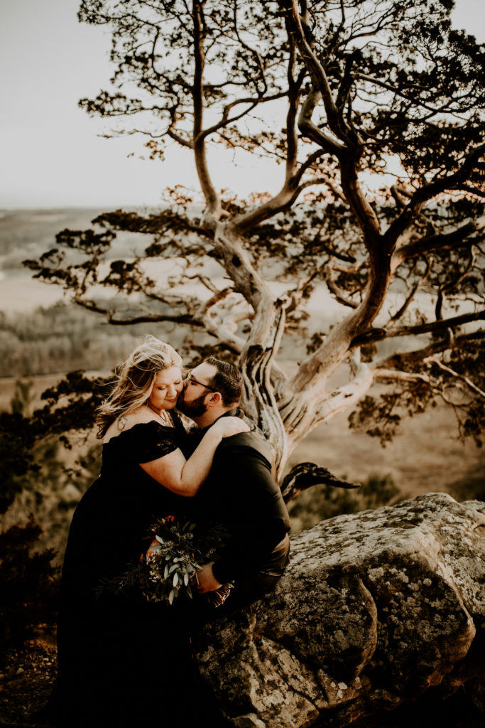 newlywed couple in black eloping in Wisconsin sitting near unique tree