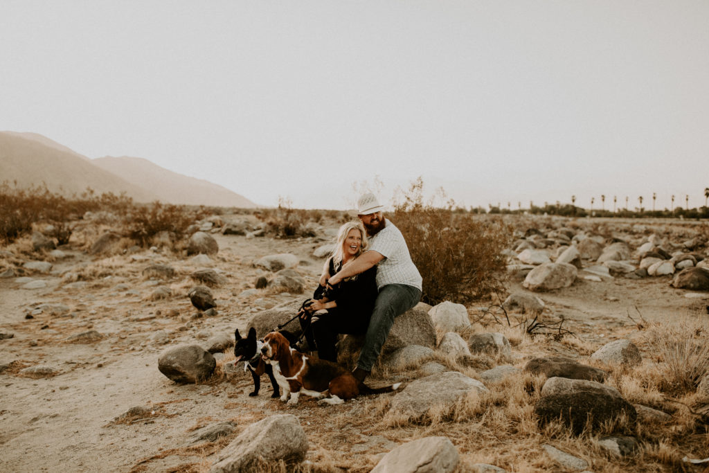 desert engagement photos with couple sitting on small rocks in the middle of Joshua Tree with dogs